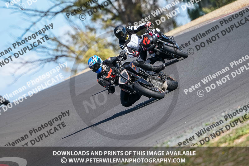 cadwell no limits trackday;cadwell park;cadwell park photographs;cadwell trackday photographs;enduro digital images;event digital images;eventdigitalimages;no limits trackdays;peter wileman photography;racing digital images;snetterton;snetterton no limits trackday;snetterton photographs;snetterton trackday photographs;trackday digital images;trackday photos
